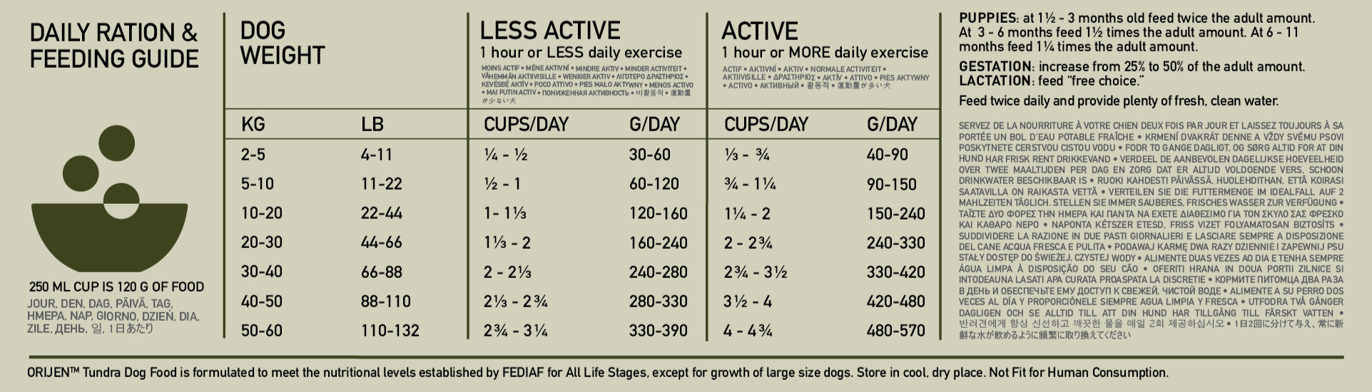 Tundra Biologically Appropriate Dog Food ORIJEN