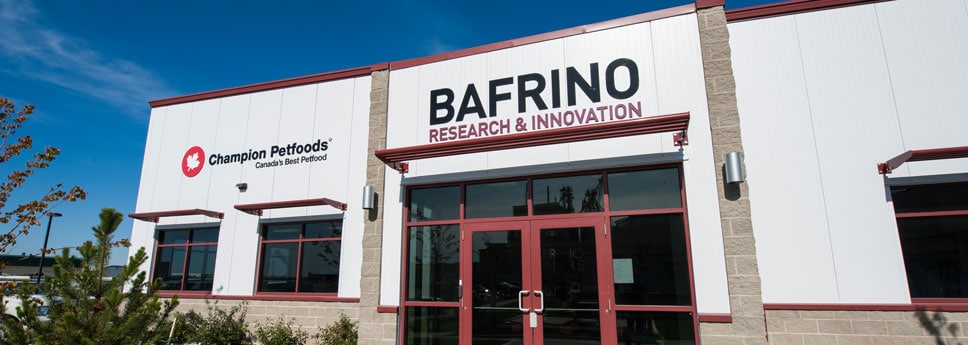 bafrino-research-innovation
