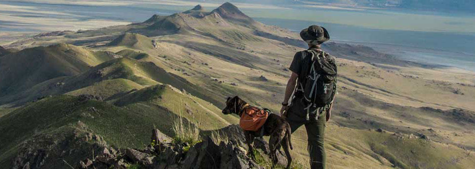 owner-with-dog-mountain-range