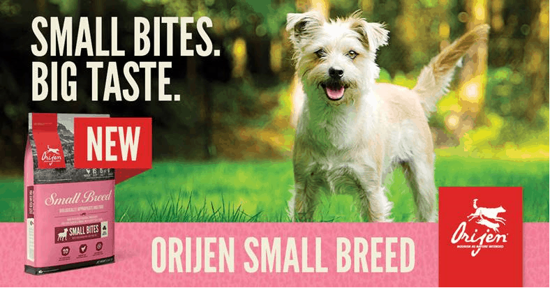 New Product - Orijen Small Breed Bag